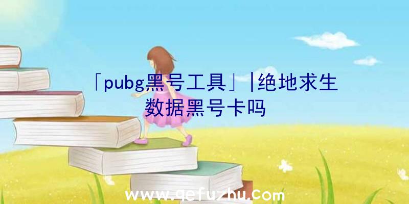 「pubg黑号工具」|绝地求生数据黑号卡吗